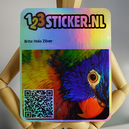 Brite Holo Zilver