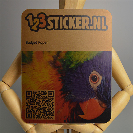 Budget Koper