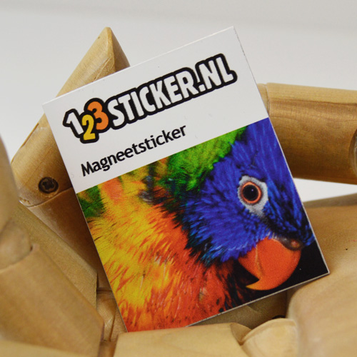 Magneetsticker