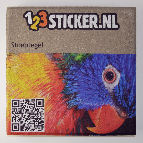 Voorkant stoeptegel met UV direct print